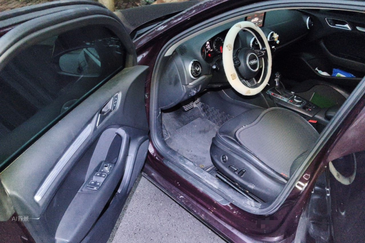 Audi A3 2016 car image #18