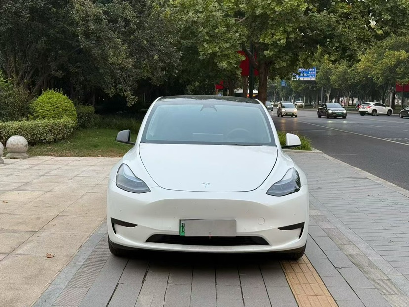 Tesla Model Y 2023 Tesla Model Y 2023 car image