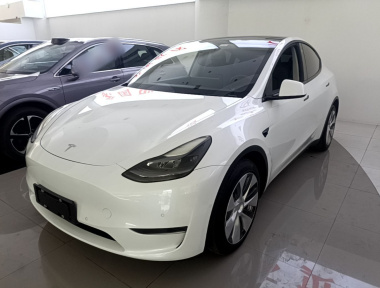 Tesla Model Y 2021 Tesla Model Y 2021 car image