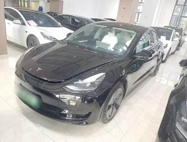 Tesla Model 3 2022 Tesla Model 3 2022 car image