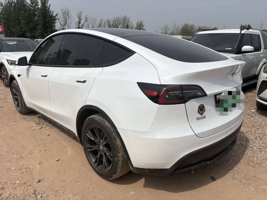 Tesla Model Y 2024 #7 Tesla Model Y 2024 car image #7