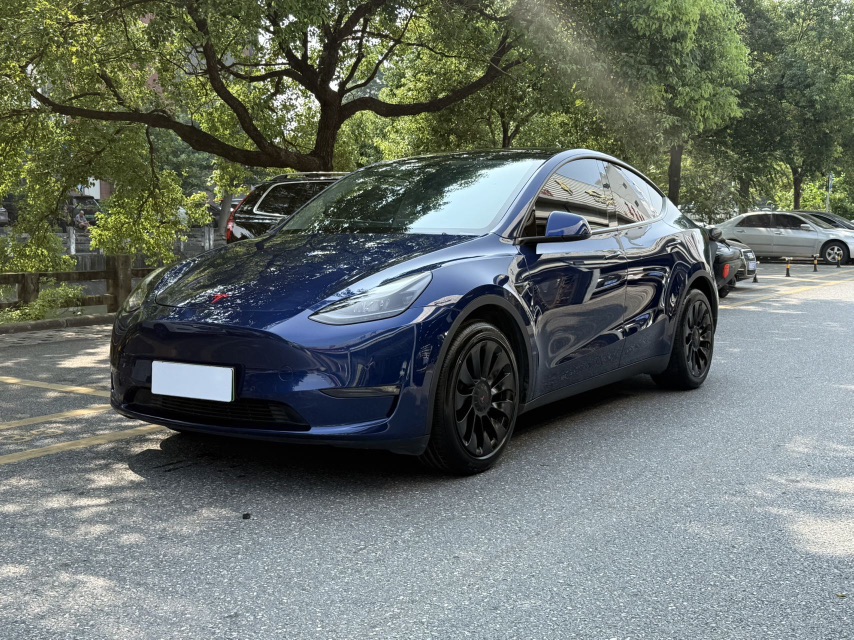 Tesla Model Y 2021 car image 