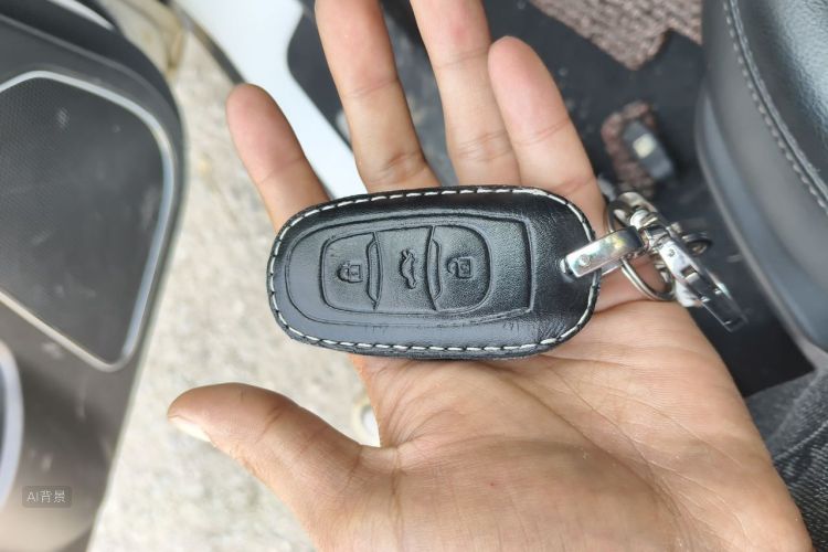 GEELY Emgrand 2016 car image #10