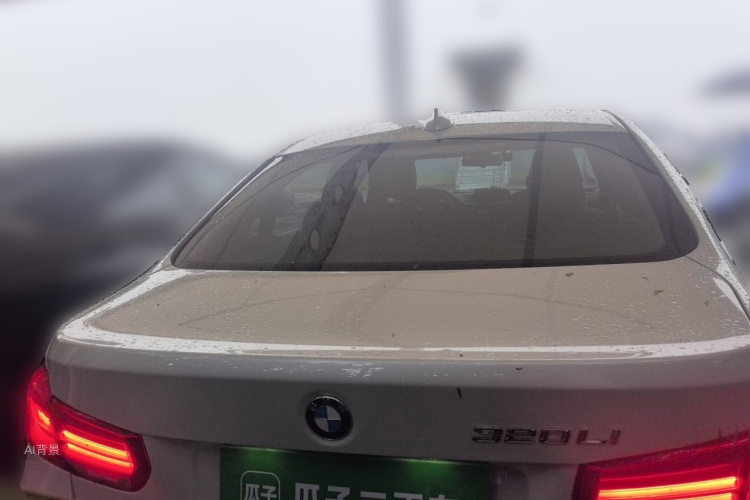 BMW 3 Series 2017 car image #6