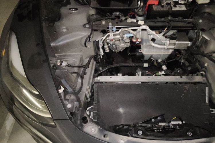 Tesla Model 3 2020 car image #23