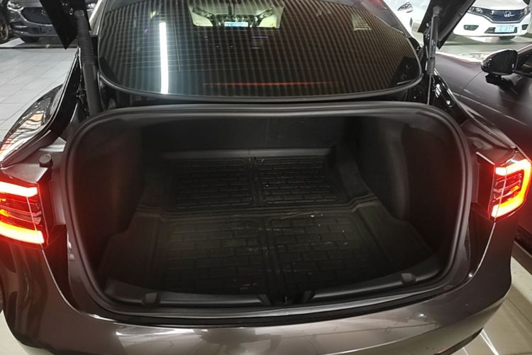 Tesla Model 3 2022 car image #19