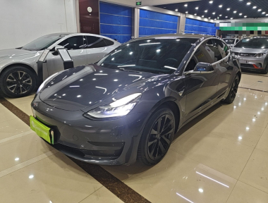Tesla Model 3 2020 car image 