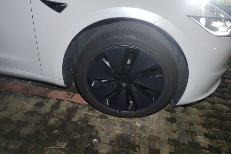Tesla Model 3 2025 car image #9