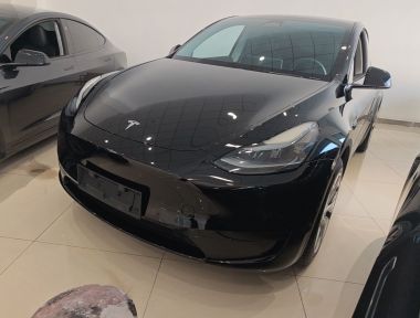 Tesla Model Y 2023 car image 