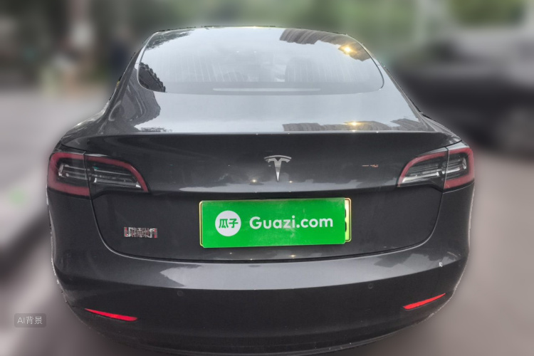 Tesla Model 3 2020 car image #6