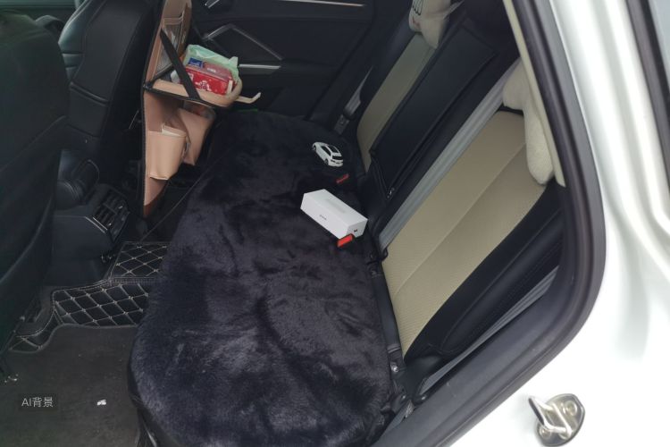 Audi Q3 2020 car image #19