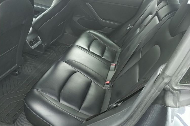 Tesla Model 3 2020 #17 Tesla Model 3 2020 car image #17