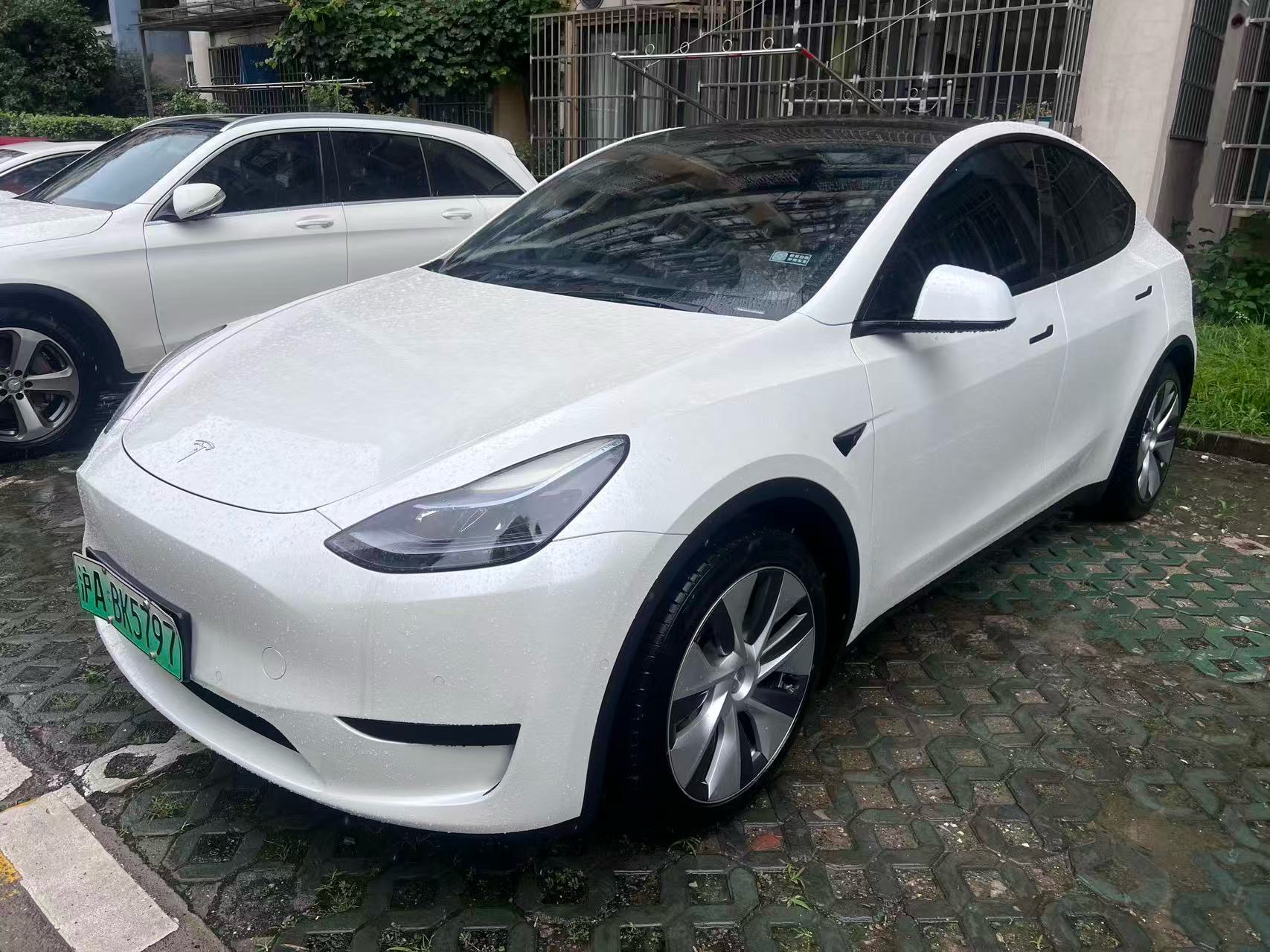 Tesla Model Y 2023 Tesla Model Y 2023 car image