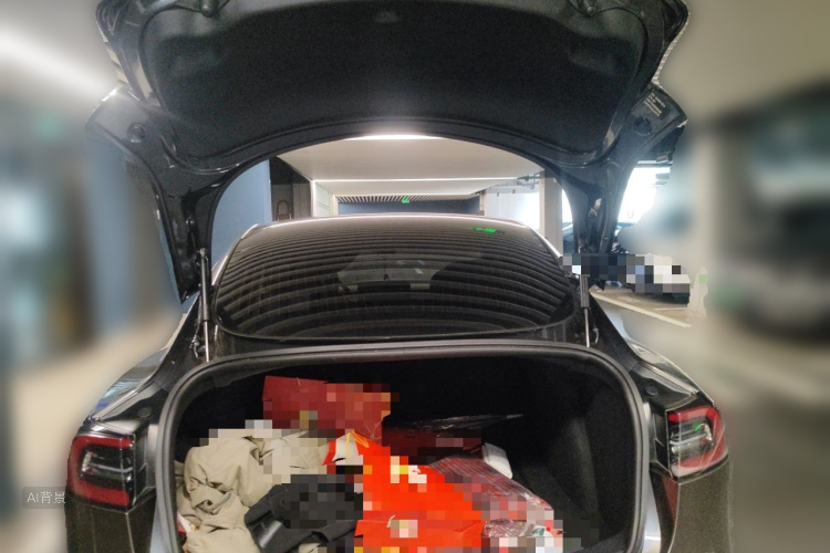 Tesla Model 3 2020 car image #21