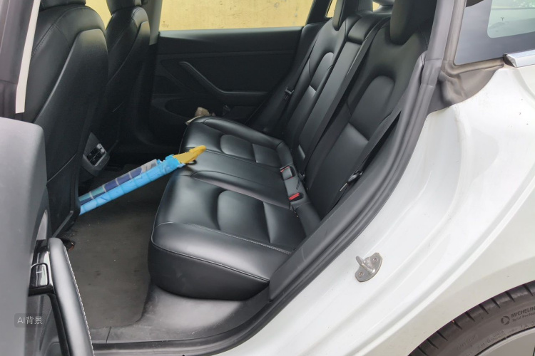 Tesla Model 3 2020 car image #19