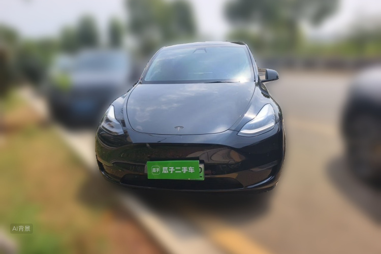 Tesla Model Y 2021 #3 Tesla Model Y 2021 car image #3