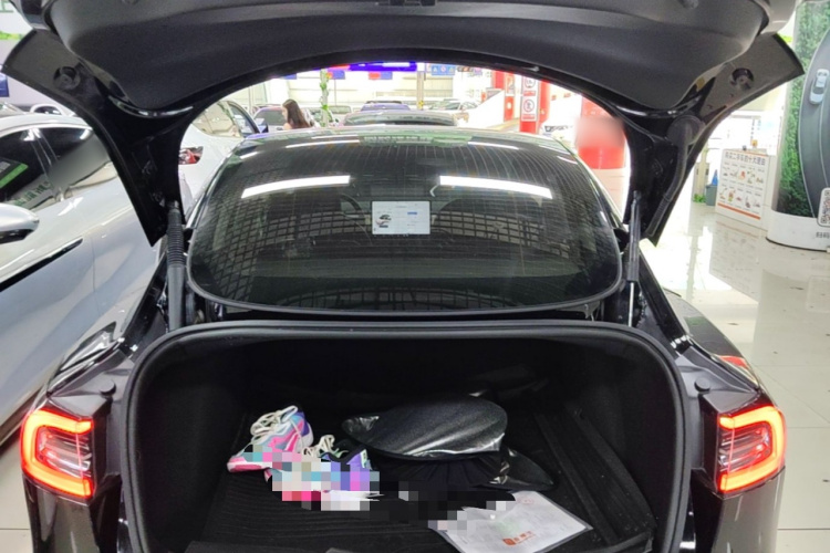 Tesla Model 3 2022 #19 Tesla Model 3 2022 car image #19