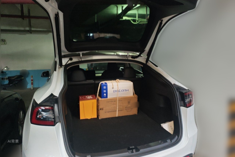 Tesla Model Y 2023 car image #21
