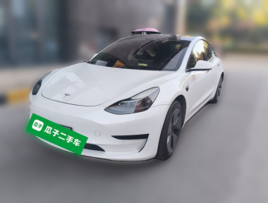 Tesla Model 3 2021 Tesla Model 3 2021 car image