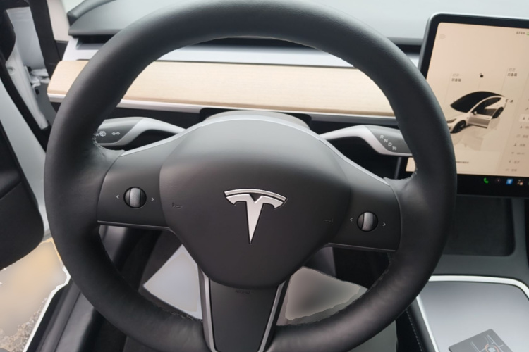 Tesla Model 3 2022 #11 Tesla Model 3 2022 car image #11