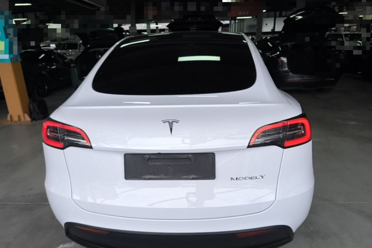 Tesla Model Y 2023 #6 Tesla Model Y 2023 car image #6