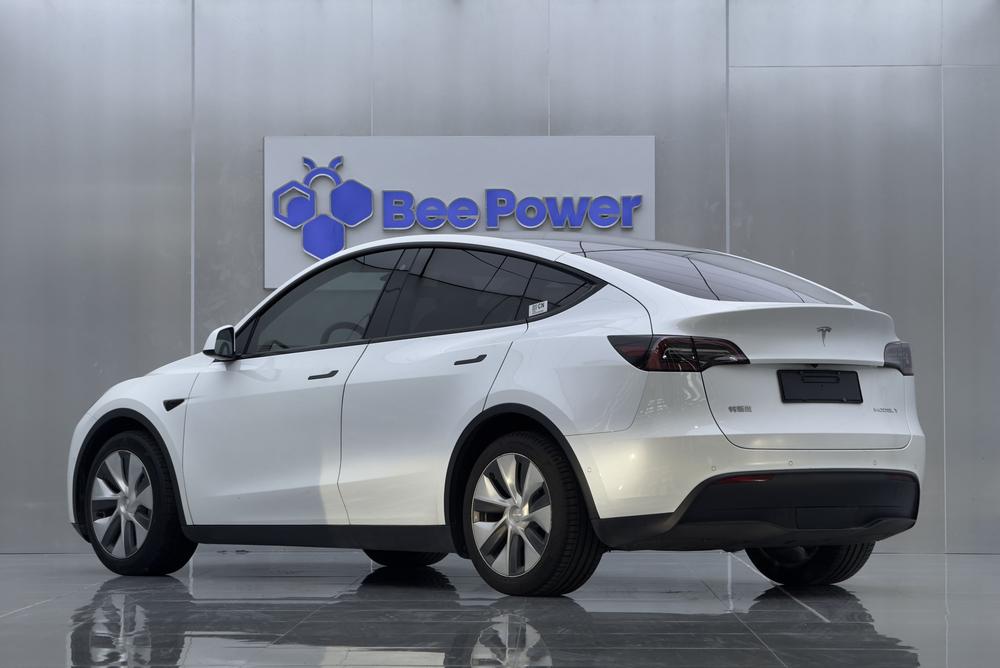 Tesla Model Y 2021 car image #5