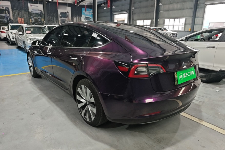 Tesla Model 3 2021 #5 Tesla Model 3 2021 car image #5