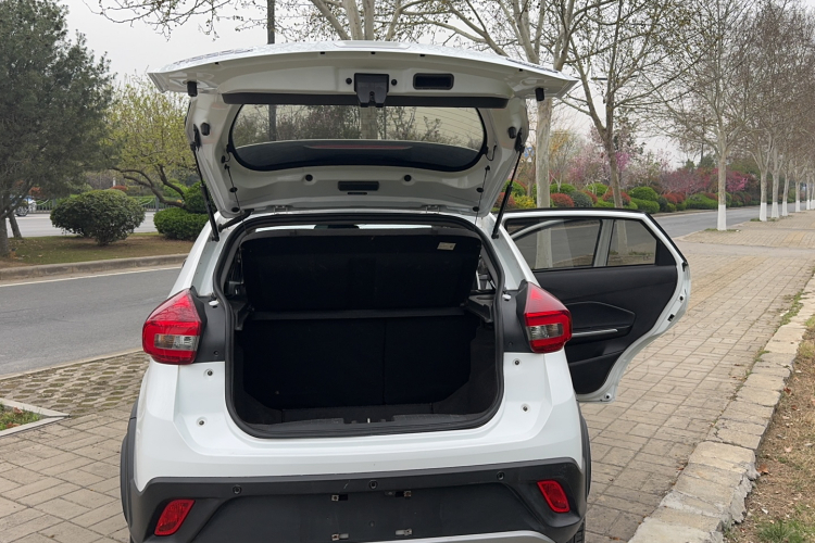 Chery Tiggo 3x 2019 car image #19