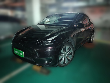 Tesla Model Y 2022 Tesla Model Y 2022 car image