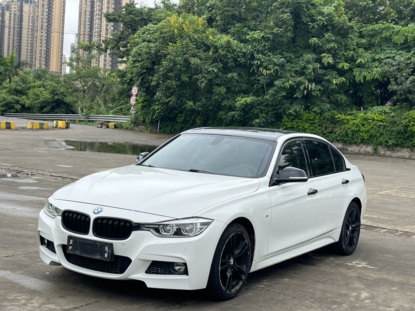 BMW 3 Series 2019 car image 