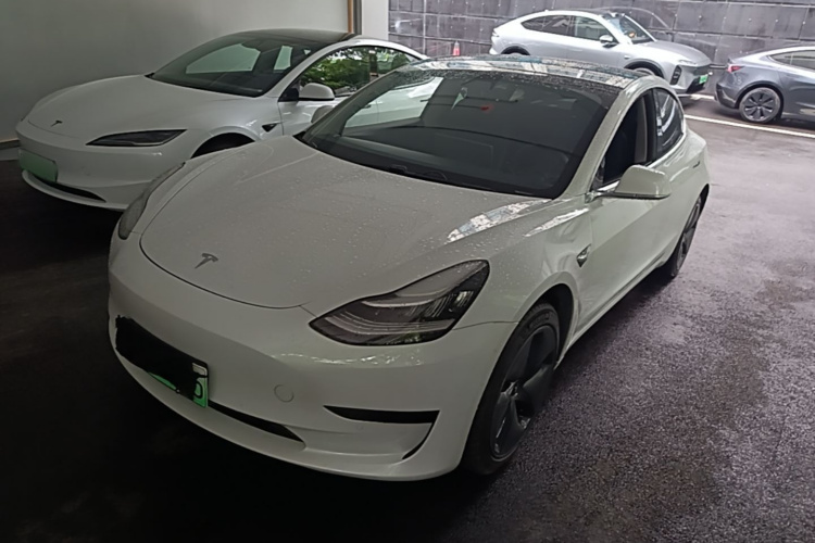 Tesla Model 3 2020 immagine di auto #2