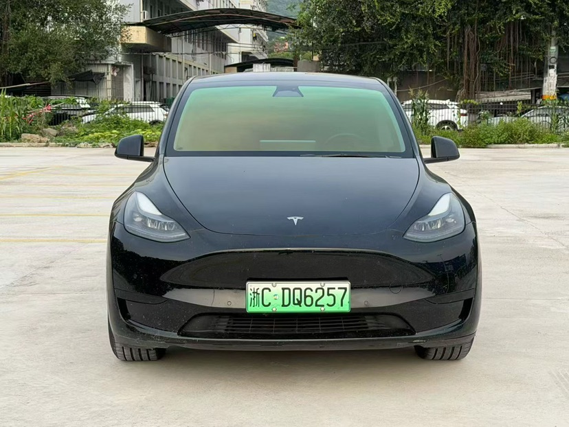 Tesla Model Y 2022 car image 