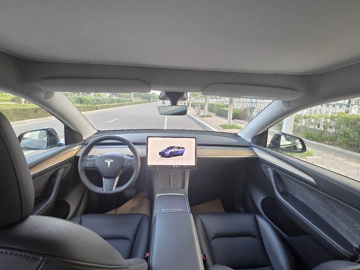 Tesla Model Y 2022 car image #6