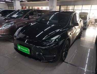 Tesla Model Y 2021 Tesla Model Y 2021 car image