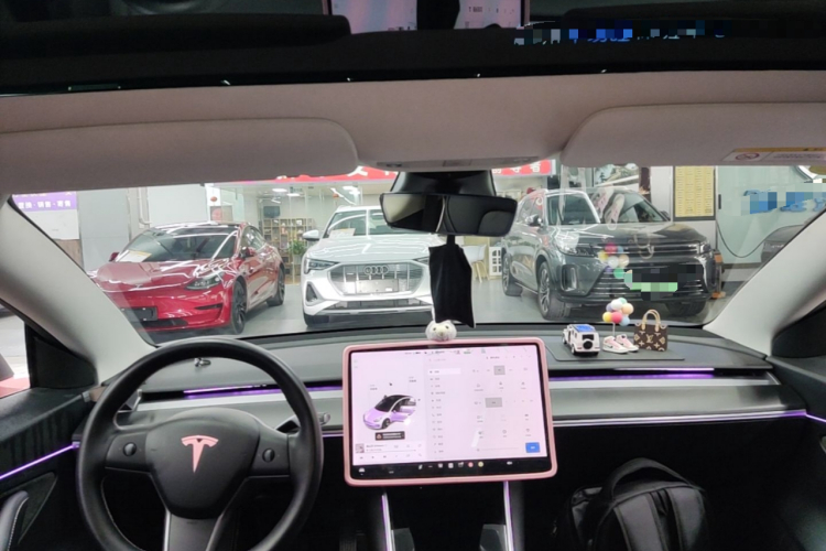 Tesla Model 3 2020 #18 Tesla Model 3 2020 car image #18