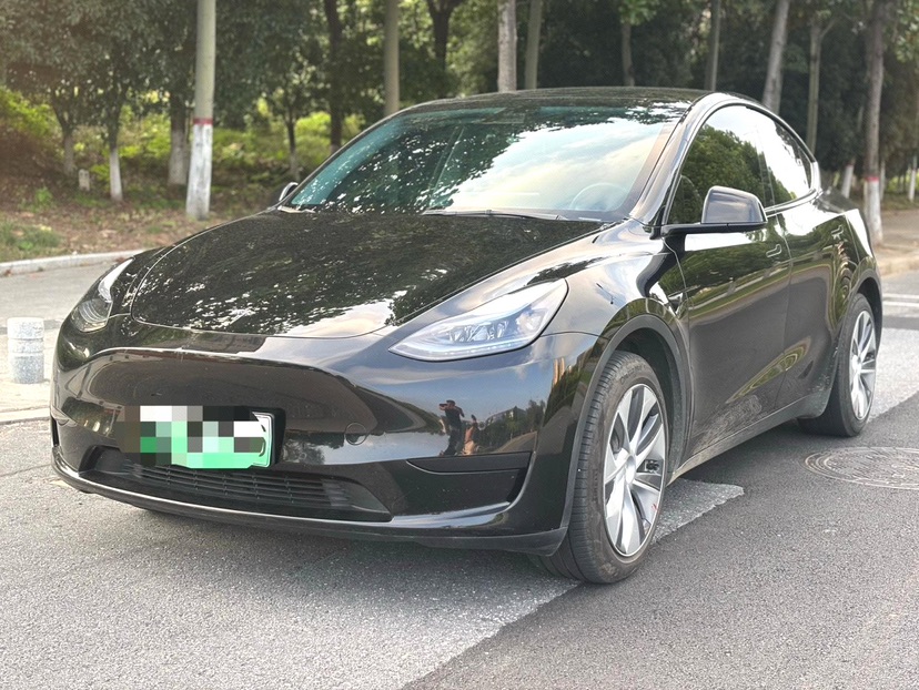 Tesla Model Y 2023 Tesla Model Y 2023 car image