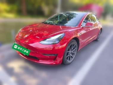 Tesla Model 3 2020 Tesla Model 3 2020 car image
