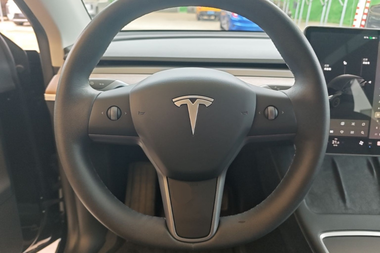 Tesla Model Y 2021 #11 Tesla Model Y 2021 car image #11