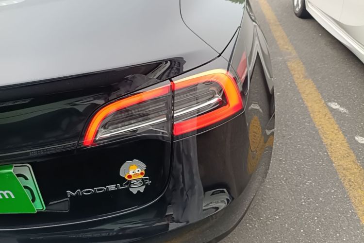 Tesla Model 3 2023 car image #8