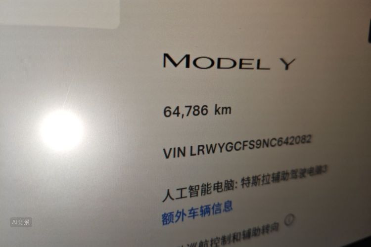 Tesla Model Y 2022 #14 Tesla Model Y 2022 صورة سيارة #14