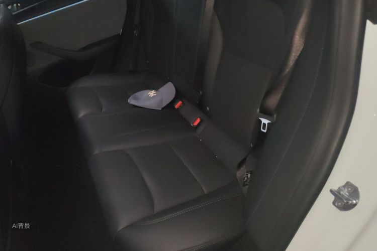 Tesla Model 3 2025 car image #19