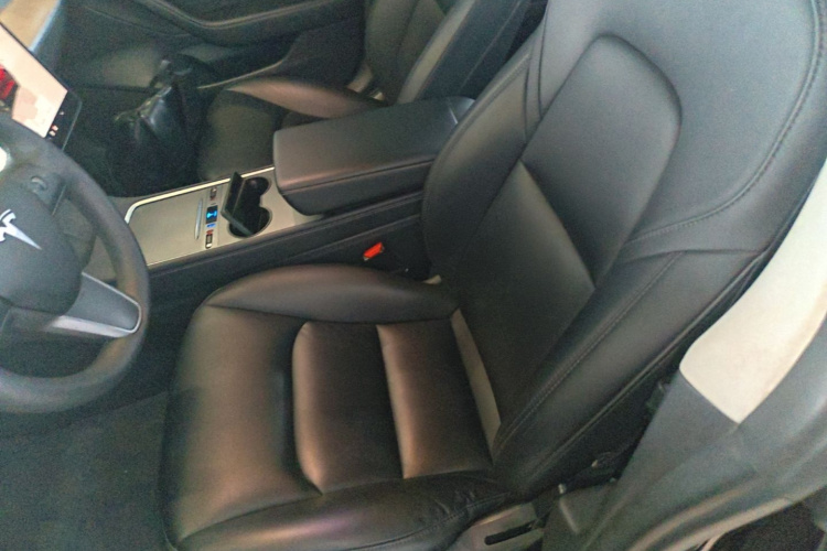 Tesla Model 3 2022 car image #15