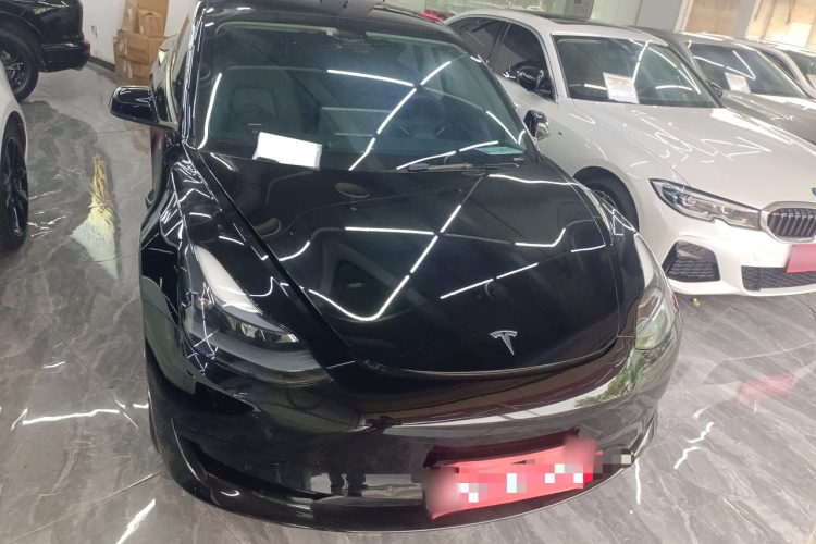 Tesla Model 3 2021 #3 Tesla Model 3 2021 car image #3