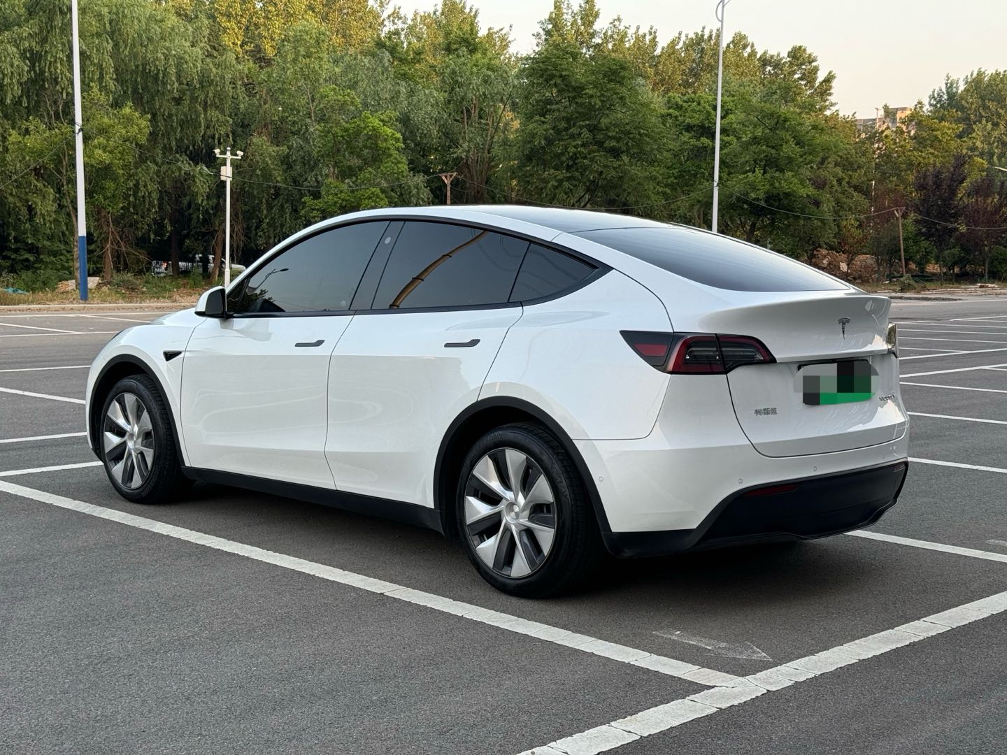 Tesla Model Y 2023 #6 Tesla Model Y 2023 car image #6