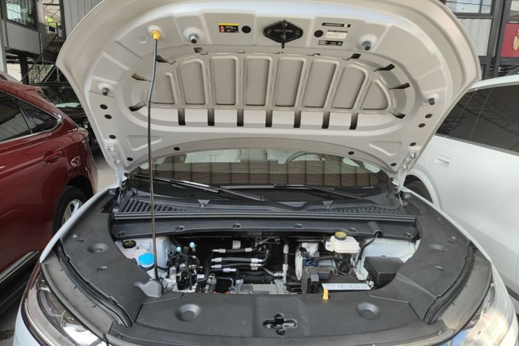 BYD YuanUP 2024 #20 BYD YuanUP 2024 immagine di auto #20