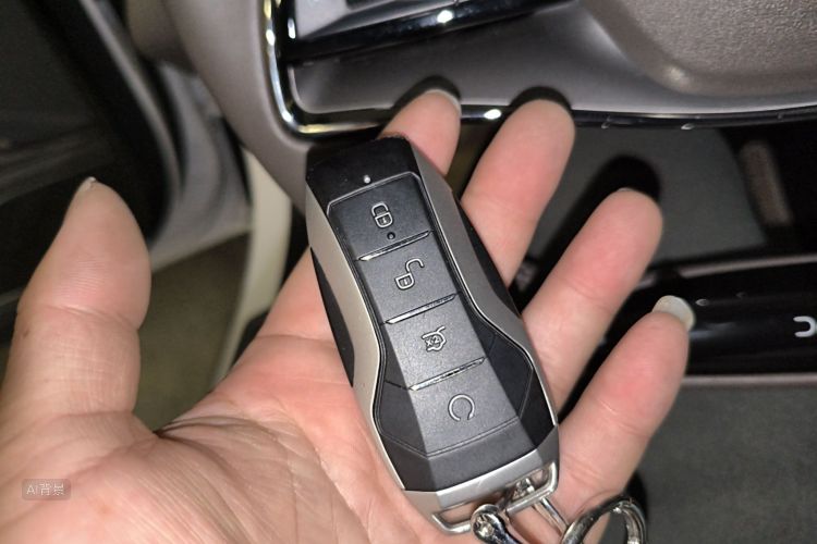 BYD Han 2022 صورة سيارة #10