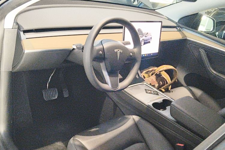 Tesla Model Y 2022 car image #10