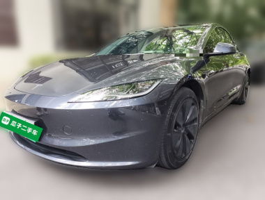 Tesla Model 3 2024 Tesla Model 3 2024 car image