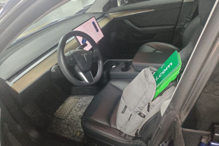 Tesla Model 3 2021 صورة سيارة #19