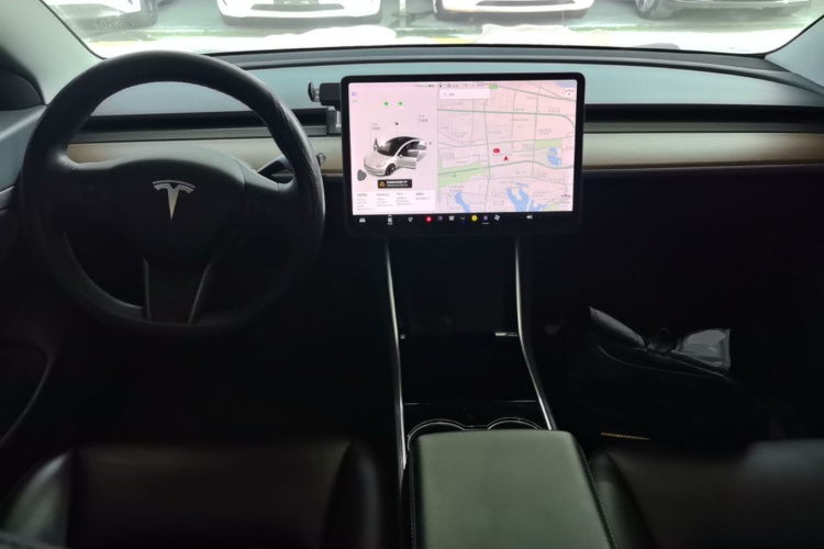 Tesla Model 3 2020 immagine di auto #10